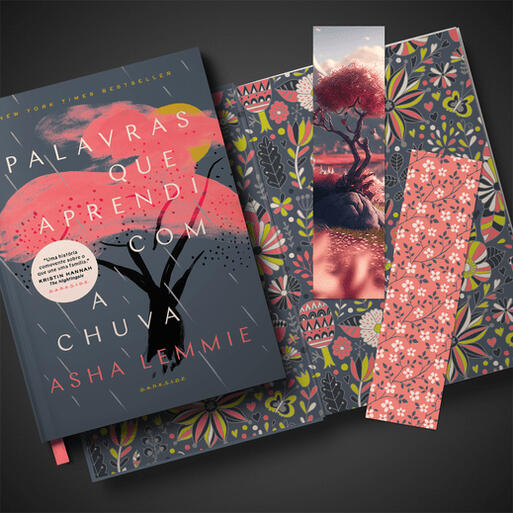 Palavras que Aprendi com a Chuva